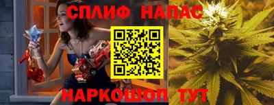 мдпв Кудрово