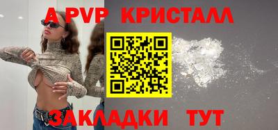 стафф Кузнецк