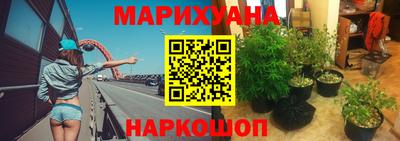 гашик Кудымкар