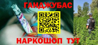 стафф Кузнецк